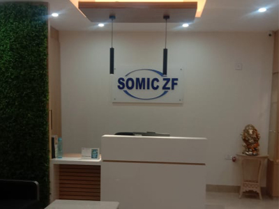 Somic Zf Components Ltd
